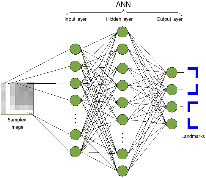A diagram of a network AI-generated content may be incorrect.