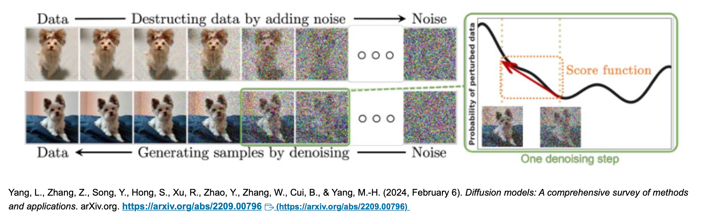 A collage of images of dogs AI-generated content may be incorrect.